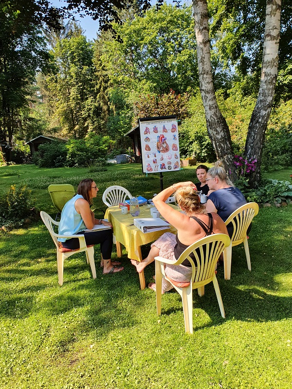 Yoga Anatomie und Netzwerke teil 1